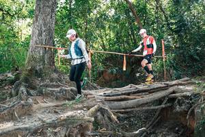 BIB: 
                            <button type="button" onclick="openModal(27745885)" class="btn btn-primary btn-sm float-right btn-popup" data-toggle="modal" data-target=".modal-high-quality">
                        <i class="fas fa-shopping-cart"></i> Add to Cart
                    </button>
                                            <button type="button" onclick="isThisMe(27745885, true)" class="btn btn-success btn-sm float-right btn-popup btn-isme hidden" data-toggle="tooltip" data-placement="bottom" title="นี่คือรูปของคุณใช่ไหม คลิกที่นี่เพื่อเอาเข้าอัลบั้ม">
                        <i class="fas fa-plus"></i> Add to album
                    </button>
                    <button type="button" onclick="isThisMe(27745885, false)" class="btn btn-warning btn-sm float-right btn-popup btn-isnotme hidden">
                        <i class="fas fa-ban"></i> Remove from album
                    </button>